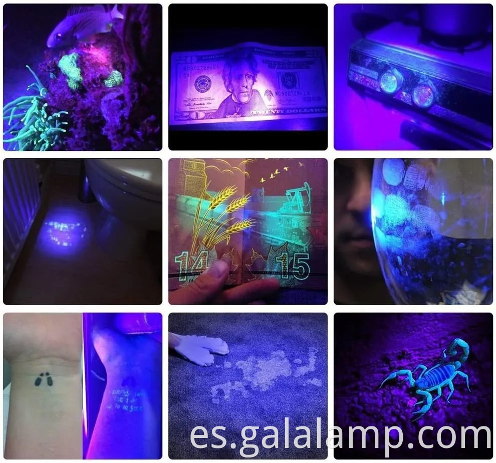 Linterna UV de 365 nm portátil con luz negra recargable y 5 modos